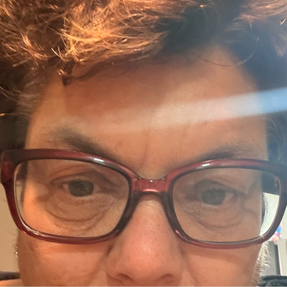 Dior Olive Brown Rectangular Eyeglass Frames - image 9